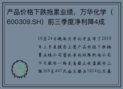 产品价格下跌拖累业绩，万华化学（600309.SH）前三季度净利降4成